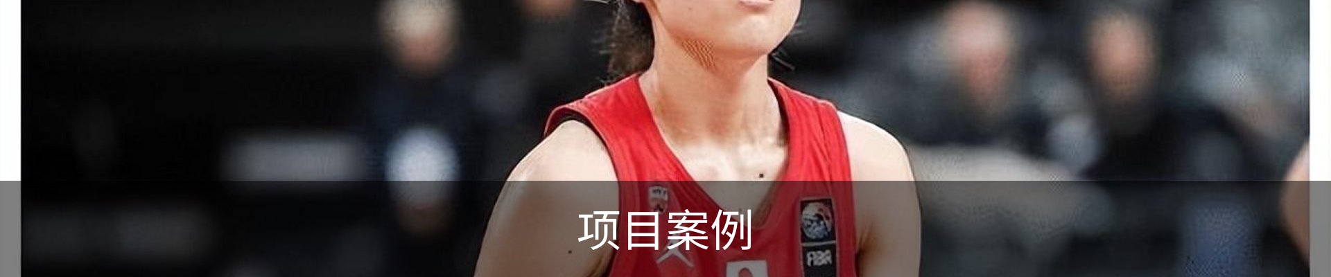 项目案例